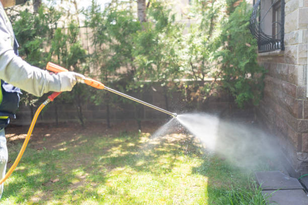 Best Termite Control Services  in Imperial Beach, CA