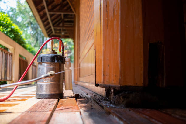 Pest Control for Restaurants in Imperial Beach, CA